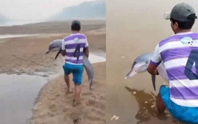 Notícias do Amazonas – Ribeirinho resgata boto em área de seca no Rio Madeira