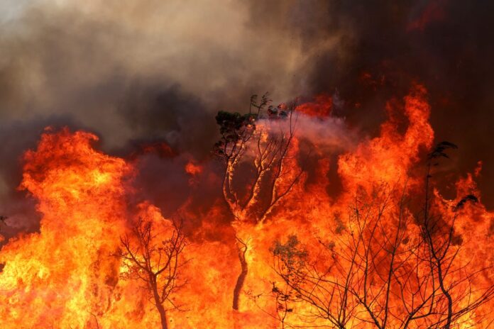 Notícias do Amazonas – Queimadas em setembro superam média histórica em 30%