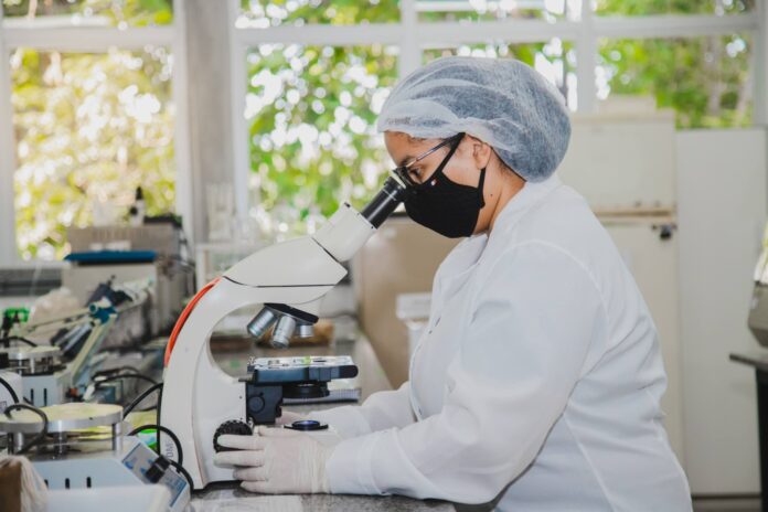 Notícias do Amazonas – Estado se destaca em Investimentos em Inovação no Brasil