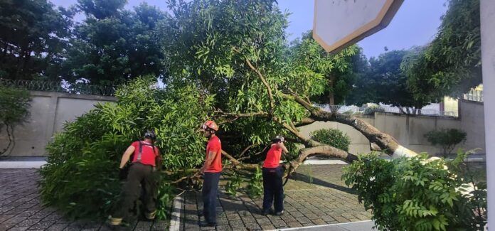 Corpo de Bombeiros atendeu 45 ocorrências após forte chuva em Manaus
