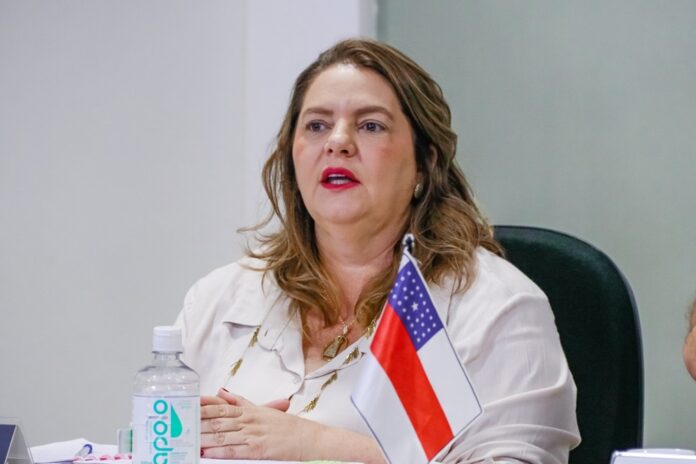 Secretária aponta aumento dos atendimentos de atenção básica como desafio da rede estadual de saúde