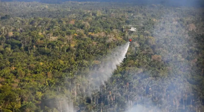 Notícias do Amazonas – Queimadas disparam e alarmam ambientalistas antes da estiagem