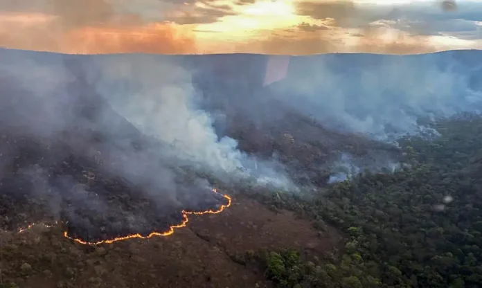 Notícias do Amazonas – Incêndio devasta 10 mil hectares no Parque Chapada dos Veadeiros