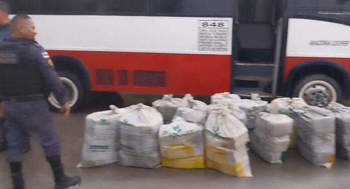 Notícias do Amazonas – Micro-ônibus abandonado revela duas toneladas de drogas