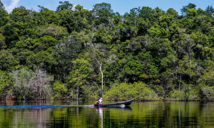Notícias do Amazonas – Hepatite Delta preocupa ribeirinhos e autoridades de saúde