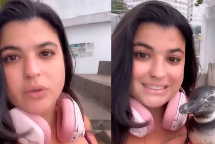 Mulher carioca se destaca ao resgatar pinguim debilitado em Copacabana