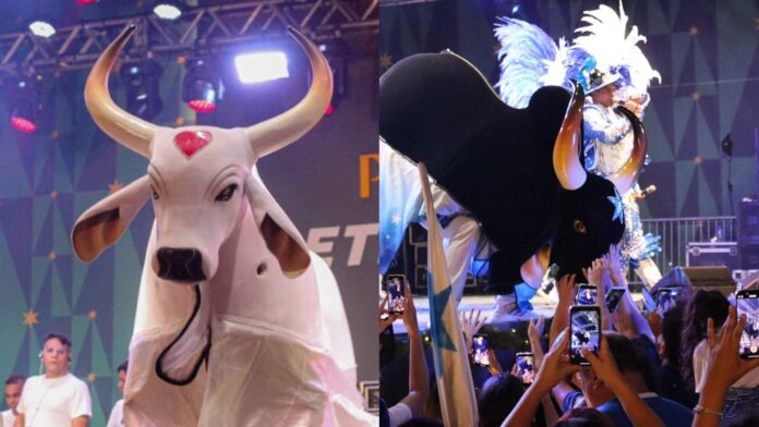 Notícias do Amazonas – Caprichoso e Garantido trazem magia natalina ao Rio