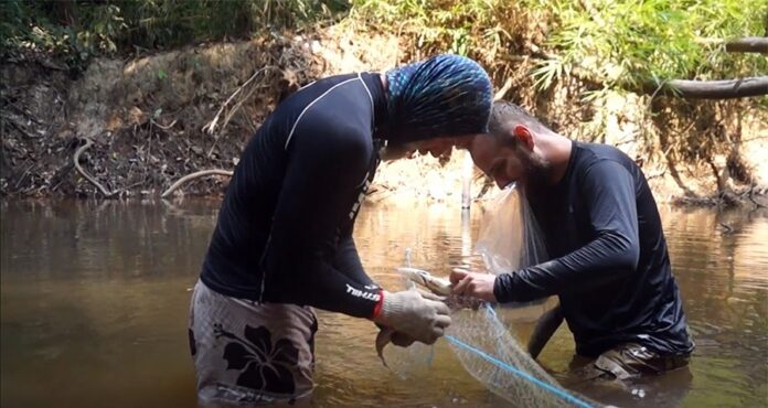 Notícias do Amazonas – Pesquisadores analisam igarapés da BR-319 em expedições