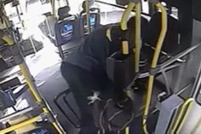 Notícias do Amazonas – Ladrão furtou R$ 4,50 de caixa de ônibus em Brasília