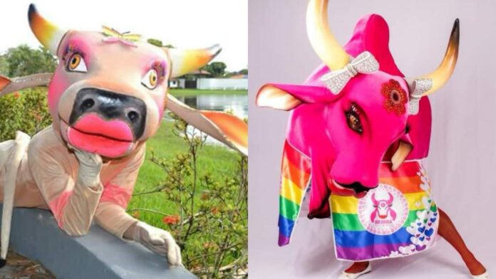 Notícias do Amazonas – Bois Boiola e Rasgadinho promovem diversidade no Bumbódromo