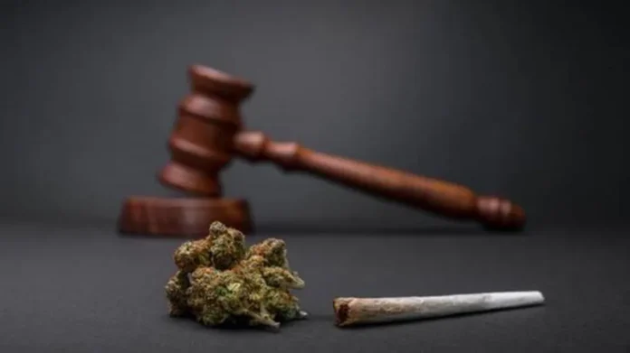 Notícias do Amazonas – STF estabelece critério de 40 g para distinguir usuários de traficantes