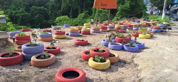 Notícias do Amazonas – Semulsp desarticula lixeiras antigas e combate lixo irregular em Manaus