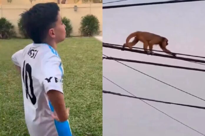 Menino argentino imita macaco e chama animal de Vinicius Jr, gerando polêmica