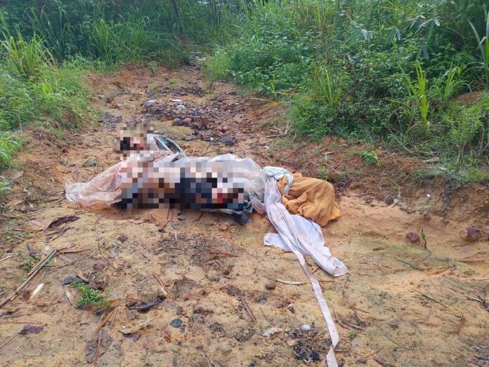 Notícias do Amazonas – Corpo decapitado é descoberto em mata no Tarumã