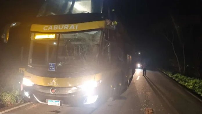Notícias do Amazonas – Colisão entre caminhão e ônibus deixa motorista ferido na BR 174