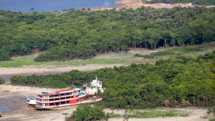 Notícias do Amazonas – Especialistas indicam transição nos rios e risco de cheia