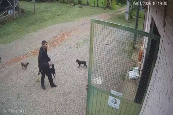 Notícias do Amazonas – Jovem de 19 anos é resgatado após se perder no Pico Paraná