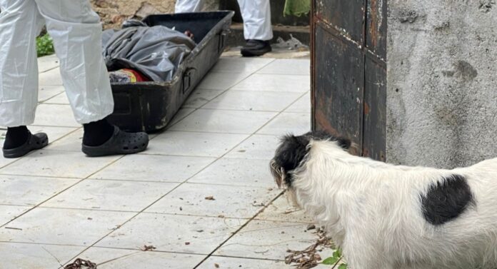 Notícias do Amazonas – Homem é encontrado sem vida após estranha ausência em Manaus