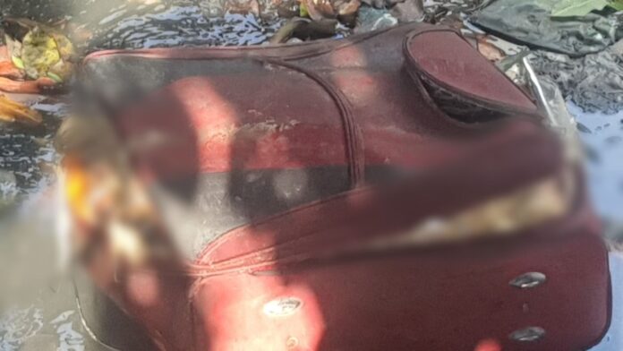 Notícias do Amazonas – Corpo de homem sem cabeça é achado em mala no igarapé