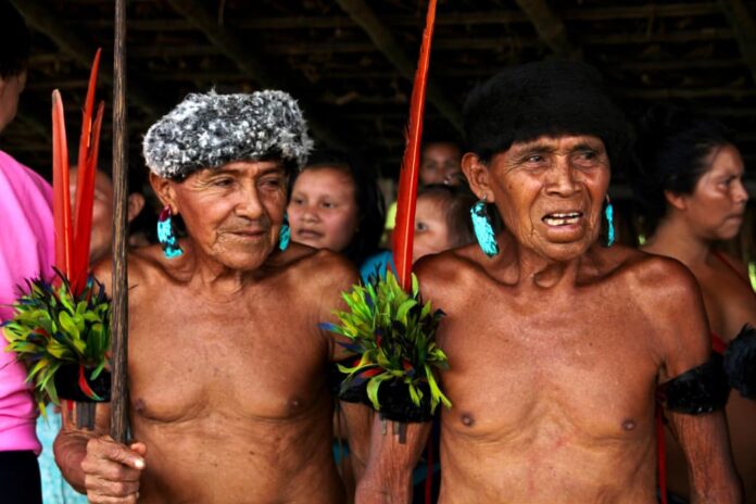 Notícias do Amazonas – Última chance para inscrição em formação digital indígena